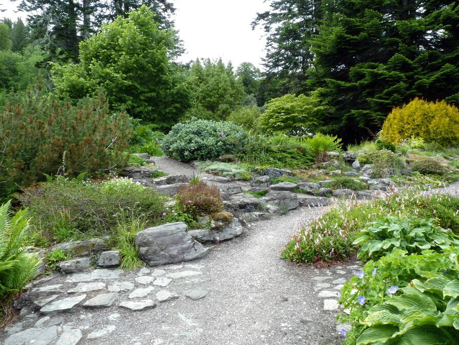 Verschlungener Gartenweg aus Kies und Natursteinen, umgeben von üppigen Sträuchern, Bodendeckern und großen Bäumen in einem weitläufigen, grünen Park.